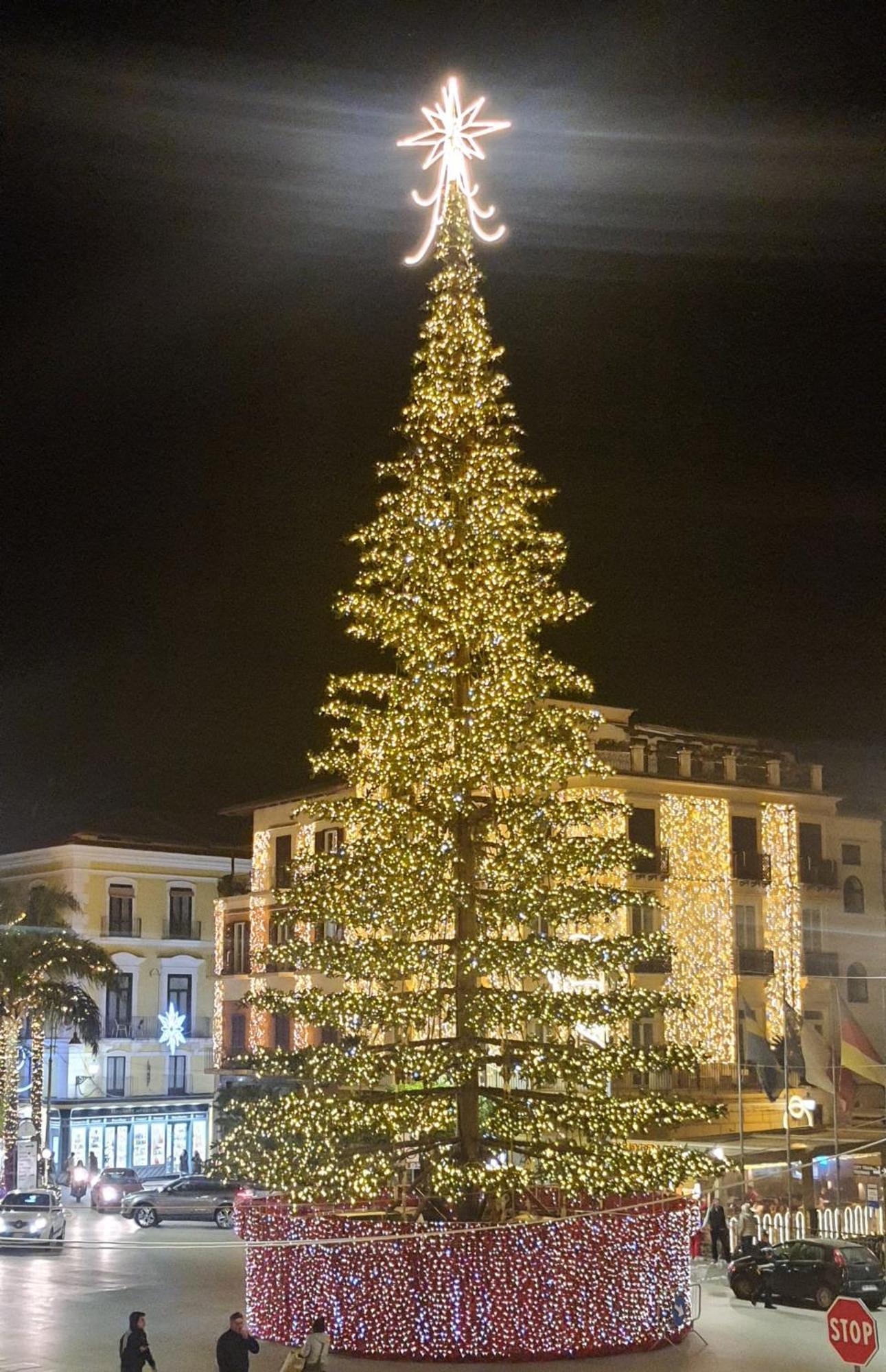La Coccinella Sorrento Villa ภายนอก รูปภาพ